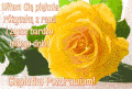 Witam Ci� pi�knie r�yczk�!