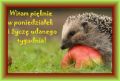 Milutkiego poniedzia�ku i udanego tygodnia!