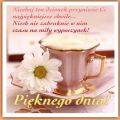Życzę Ci pięknego dnia!