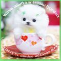 Bardzo udanej �rody �ycz�!