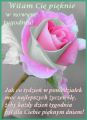 Jak co tydzie� w poniedzia�ek...