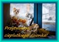 Przytulnego i cieplutkiego dzionka!
