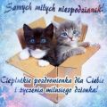 Samych mi�ych niespodzianek!