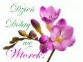 🌸Witam Ci� pi�knie i �ycz� Mi�ego Wtorku!