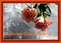 Zimowe Dzie� Dobry