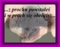 ...z prochu powsta�e� i w proch si� obr�cisz!