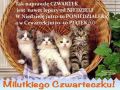 Czwartek jest nawet lepszy od niedzieli...