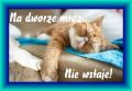 Na dworze mróz! Ciepluśkiego dzionka!