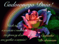 Cudownego Dnia!