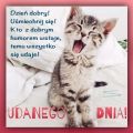 Dobrego humorku Ci �ycz� :)