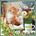 Milutkiego Dnia  :)