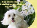 Hej! U�miechnij si�...