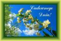Cudownego wiosennego dnia!