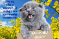 Ciesz si� jak i ja...Radosnej �rody!