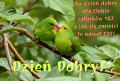 Ca�u�ne dzie� dobry!