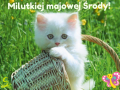 🌼Milutkiej majowej �rody!