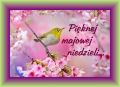 Pi�knej majowej niedzieli...