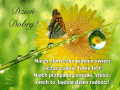 ☀Niech s�oneczko pi�knie �wieci...