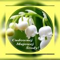 ☘Cudownej majowej środy!