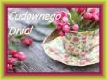 Cudownego dnia!