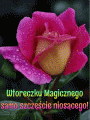🍀 Magicznego Wtoreczku🍀