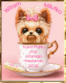 Super Pi�tku oraz Udanego Weekendu :)