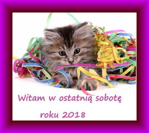 Mały puszysty kotek w kolorowych serpentynach z napisem Witam w ostatnią sobotę roku 2018