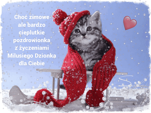 Ma�y kotek w czerwonej czapce i szaliku siedzi na sankach w�r�d padaj�cego �niegu