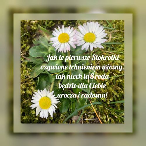 Kartka ☀Wiosennie radosnej �rody!
