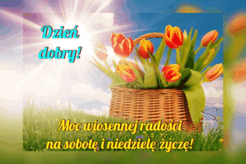 Wiklinowy koszyk z czerwonymi tulipanami na tle zielonej trawy, napisy i promieniste s�o�ce