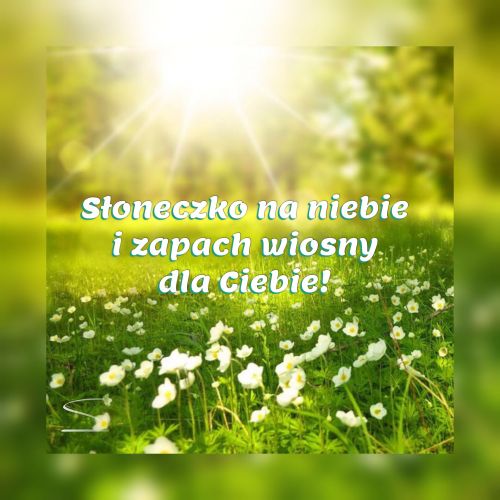 Wiosenna polana z bia�ymi kwiatami, �wiec�cym s�o�cem i napisem S�oneczko na niebie i zapach wiosny dla Ciebie