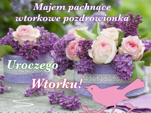 Kartka 🌸Uroczego Wtorku!