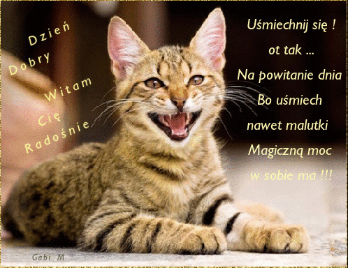 Le��cy, szeroko u�miechni�ty pr�gowany kot z widocznymi z�bami oraz napisy z powitaniem dnia