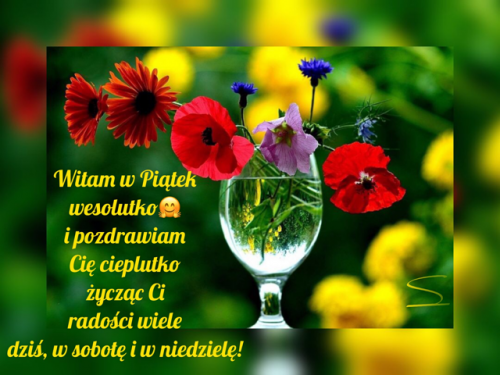 Szklany kielich z polnymi kwiatami, maki, stokrotki i zielone t�o z �yczeniami na pi�tek