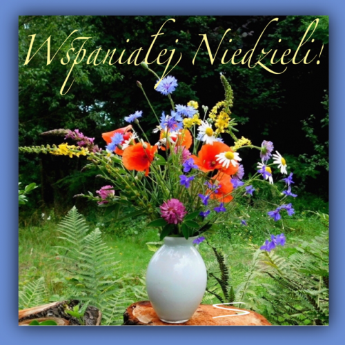 Bia�y wazon z bukietem polnych kwiat�w maki stokrotki chabry w ogrodzie napis Wspania�ej Niedzieli