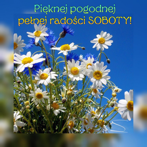 Obrazek dodany przez użytkowniczkę