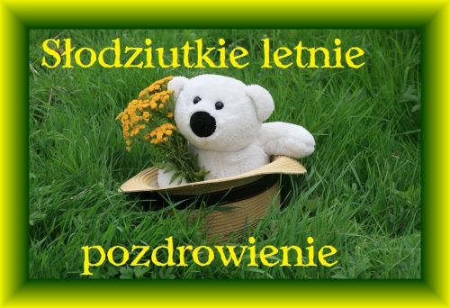 Biały miś pluszowy w słomkowym kapeluszu z żółtymi kwiatami siedzi w zielonej trawie