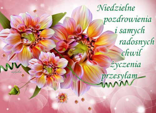R�owo-��te dalie na b�yszcz�cym tle z napisem Niedzielne pozdrowienia i samych radosnych chwil