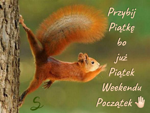 Kartka Przybij pi�tk� bo ju� Pi�tek:)