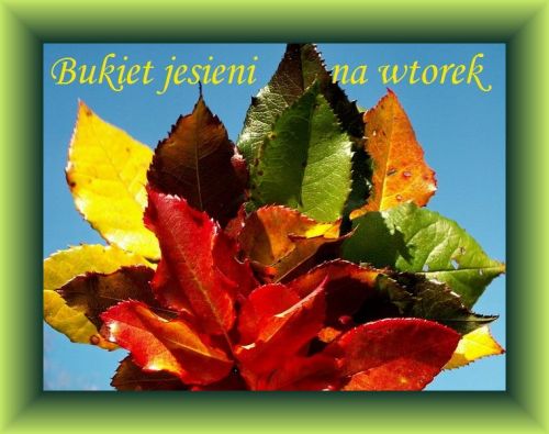 Kolorowy bukiet jesiennych li�ci na tle nieba z ��tym napisem Bukiet jesieni na wtorek