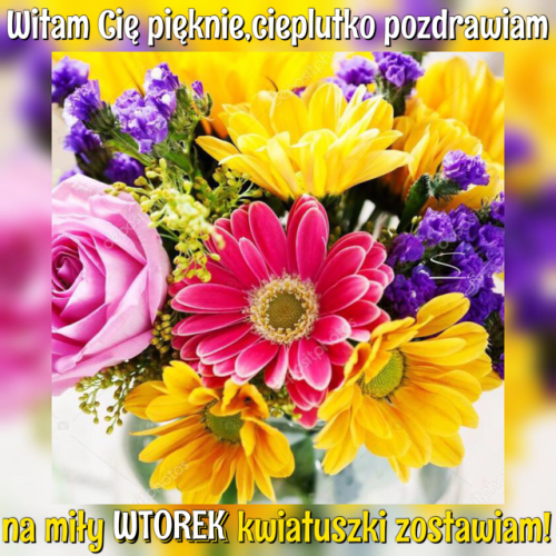 Bukiet kolorowych kwiat�w gerber, r� i fioletowych static z napisem na mi�y wtorek