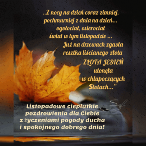 Kartka 🍁Listopadowe dzie� dobry... 