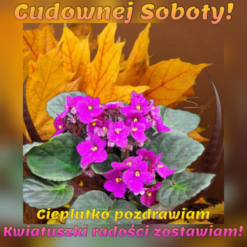 Kartka 🌸Cudownej Soboty!