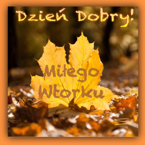 Kartka 🍁Cieplutko pozdrawiam i �ycz� Mi�ego Wtork