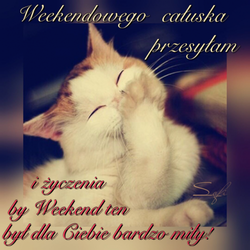 Uroczy rudy kot zas�aniaj�cy �apk� pyszczek z napisem Weekendowego ca�uska przesy�am