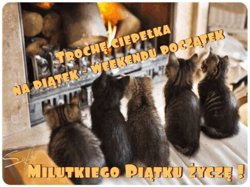 Ma�e kotki siedz� ty�em przed kominkiem z ogniskiem, z napisami o pi�tku i weekendzie