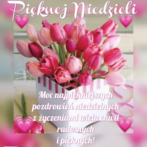 Białe pudełko z różowymi tulipanami, serduszka oraz napis Pięknej Niedzieli i pozdrowienia