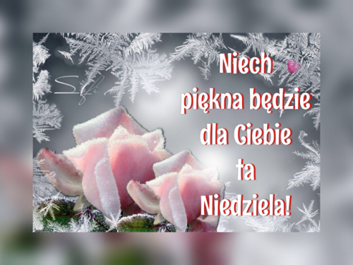 Zimowe pozdrowienie z oszronionymi różowymi różami, kryształkami lodu i napisem Niech piękna będzie dla Ciebie ta Niedziela