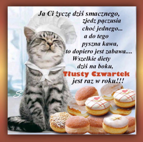 Szary kot w czapce kucharza obok pączków z polewą i napisem na Tłusty Czwartek