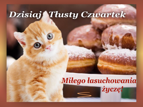 Mały rudy kot i pączki na paterze z napisem Dzisiaj Tłusty Czwartek